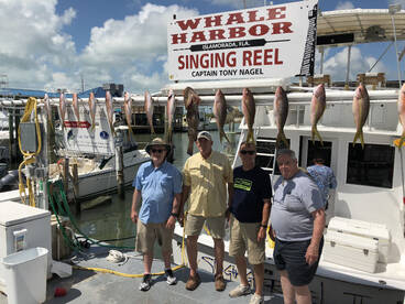 Another great day in Islamorada
