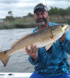 Fairhope Report Photo 1