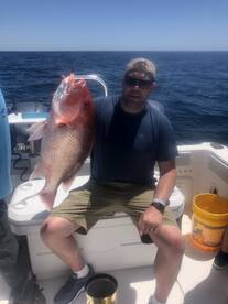 Big triggerfish today