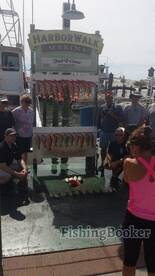 ALOT of nice sized tasty mingos!