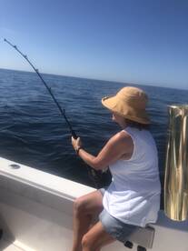 King and spanish mackerel