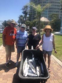 Orange Beach Report Photo 2