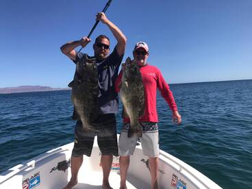 La Ventana Report Photo 2