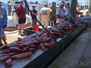Orange Beach Report Photo 1