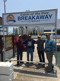 South Padre Island Report Photo 1