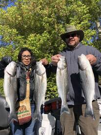 Sutter Yuba Area Report Photo 2
