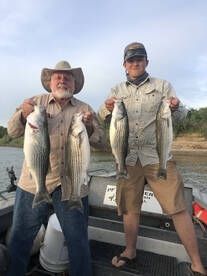 Sutter Yuba Area Report Photo 4