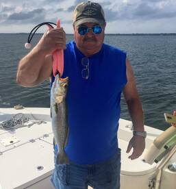 Navarre Report Photo 2