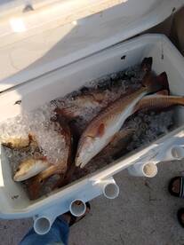 Port Aransas Report Photo 2
