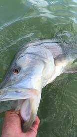 Clearwater Report Photo 1