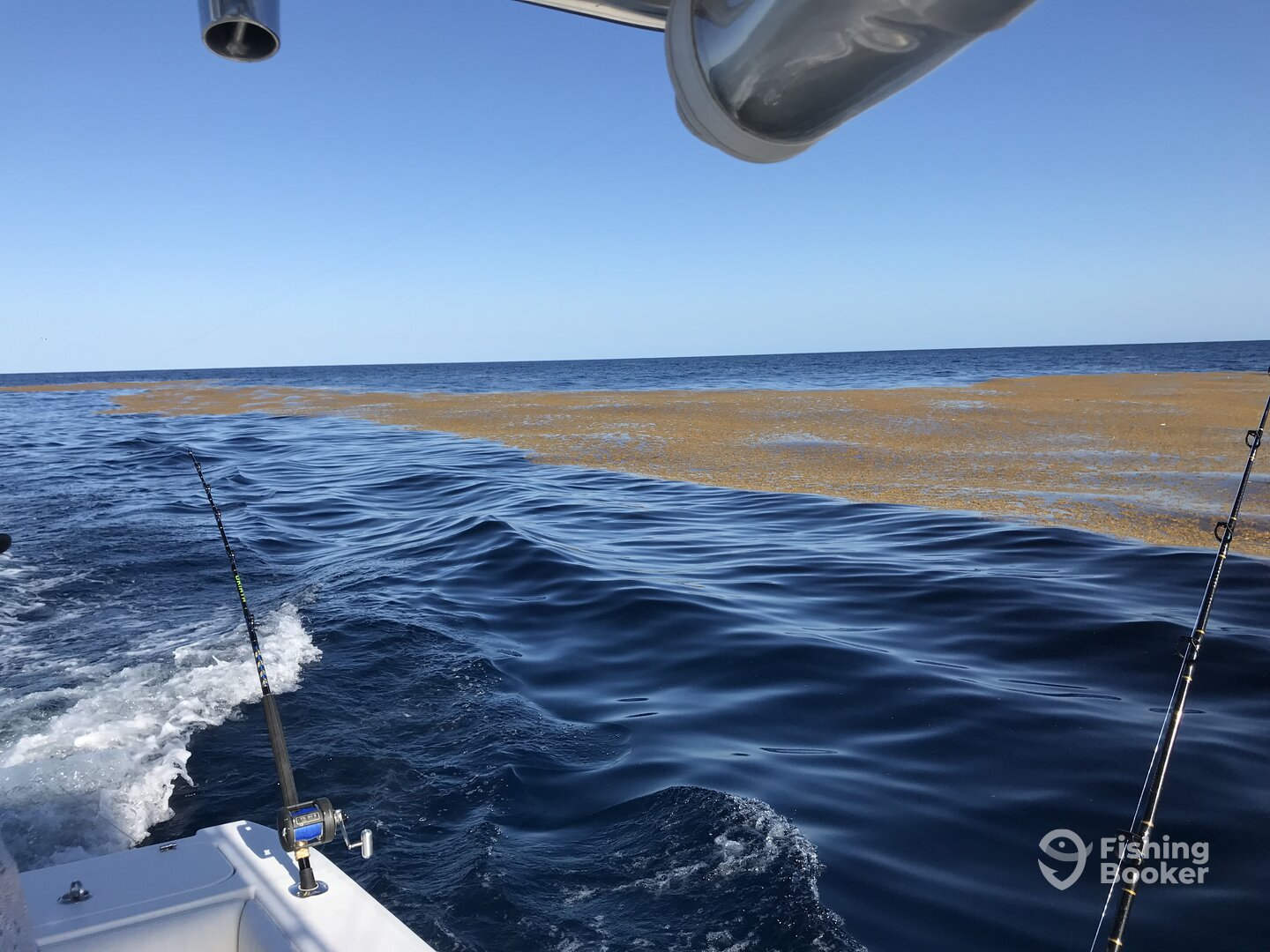 Little River Report Photo 0