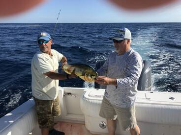 Little River Report Photo 1