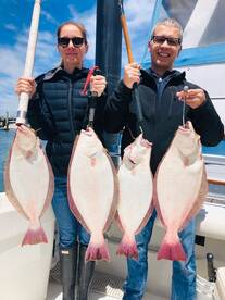 California Halibut