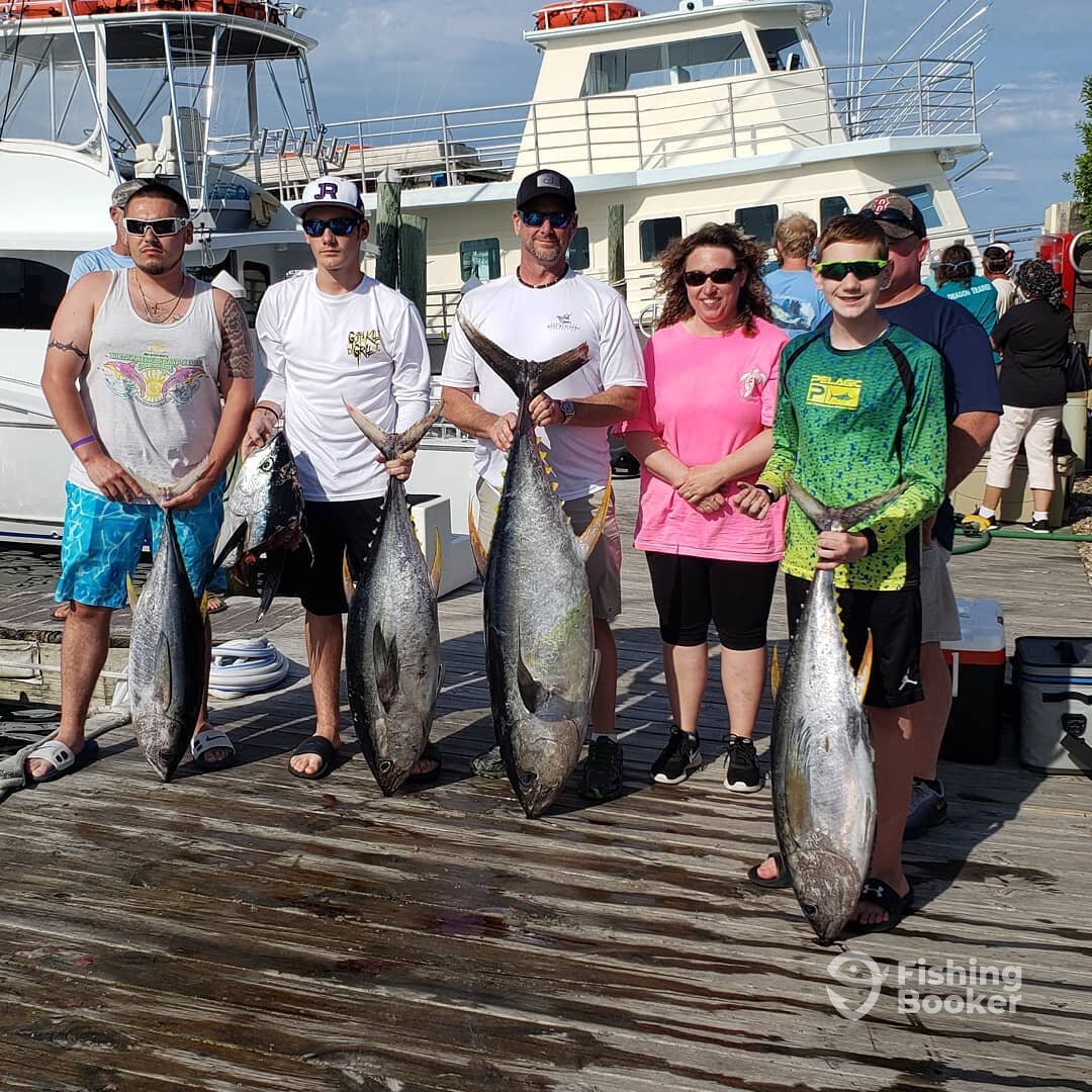Manteo Report Photo 0