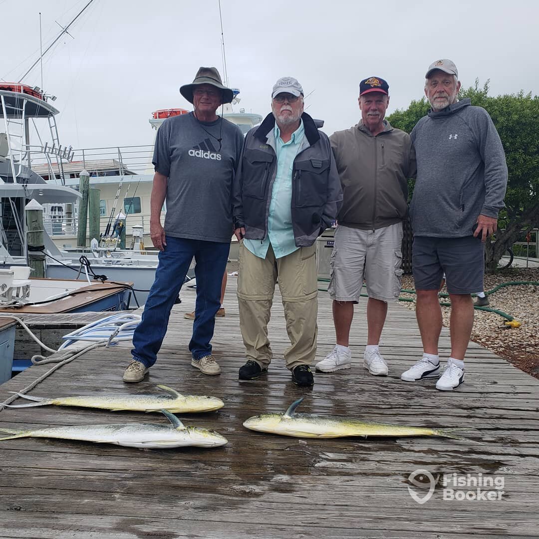 Manteo Report Photo 0