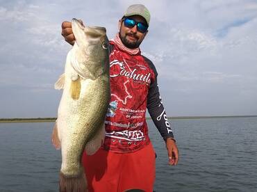 Coahuila Report Photo 2