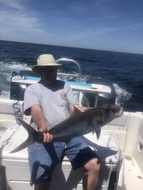 Orange Beach Report Photo 2