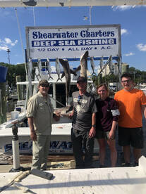 Biloxi Report Photo 2