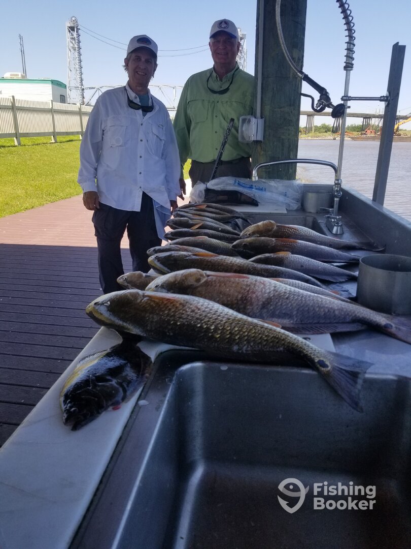 Sulphur Report Photo 0