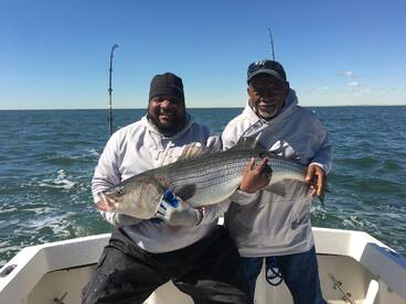 Lacey Township Report Photo 1