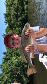 Sarasota Report Photo 2