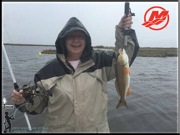 Barataria Report Photo 1
