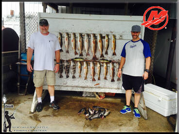 Barataria Report Photo 2