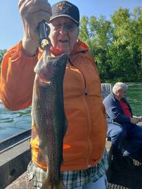 Hog rainbow 