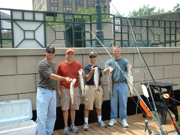 Milwaukee Fishing! Gaps For Success