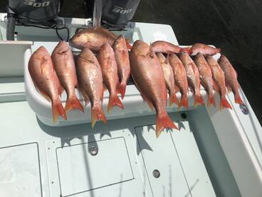 Key Largo Report Photo 2