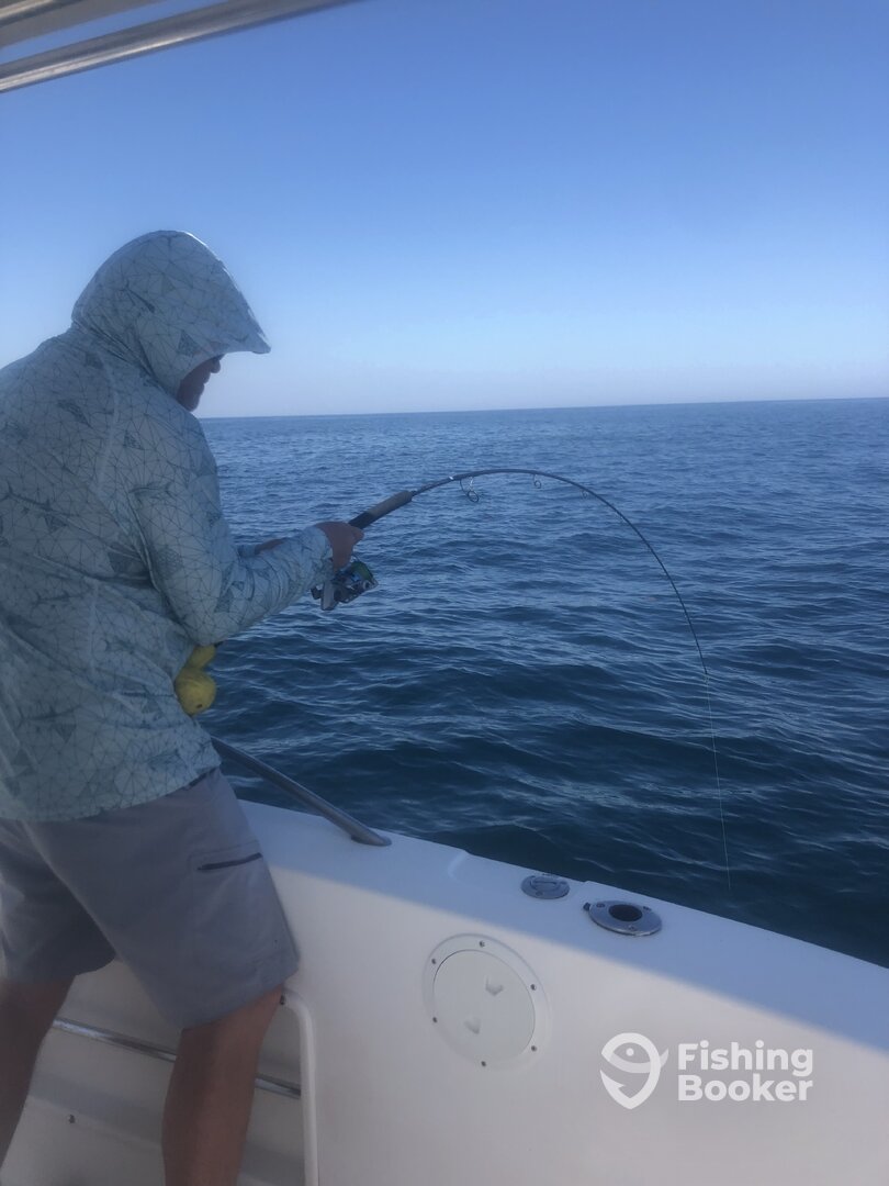 Orange Beach Report Photo 0
