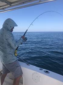 Orange Beach Report Photo 1