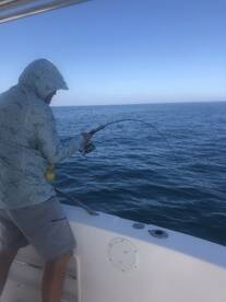 Big beeliners and white snapper today