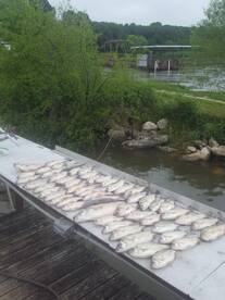 West Tawakoni Report Photo 1