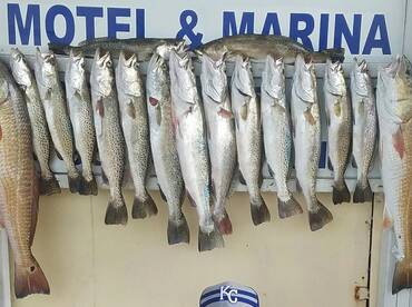 Lots of great Specs still hitting live s