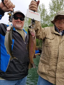 BUNCHES of BIG Taneycomo Lake Trout! 