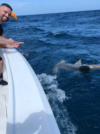 Fort Lauderdale Report Photo 2