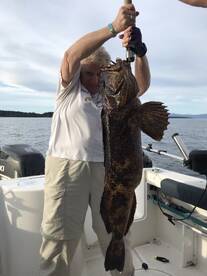 Comox Report Photo 2