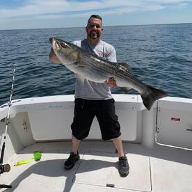 New York City Report Photo 1