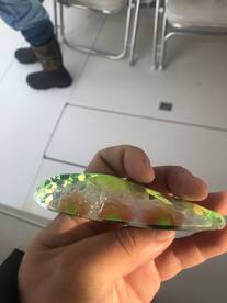 Lake Ontario: MAY 2019