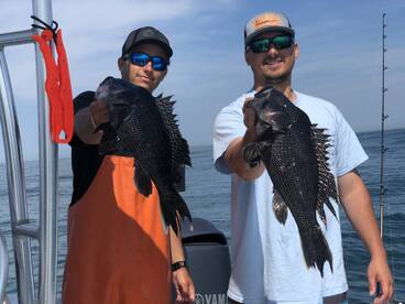 Virginia Beach Report Photo 2