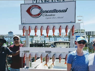 Destin Report Photo 1