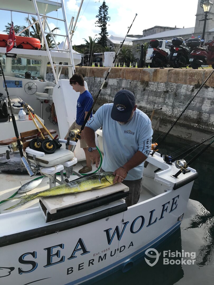 Sandys Report Photo 0
