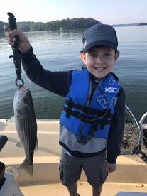 Cumming Report Photo 1