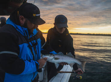 Fishing Report Boston - Cape Cod 5-23-19