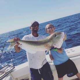 Destin Report Photo 1