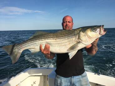 Lacey Township Report Photo 1