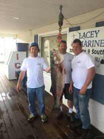 Lacey Township Report Photo 1