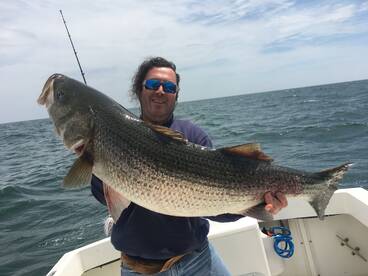 Lacey Township Report Photo 2