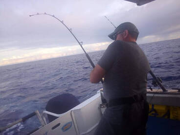 Cuvu Report Photo 2